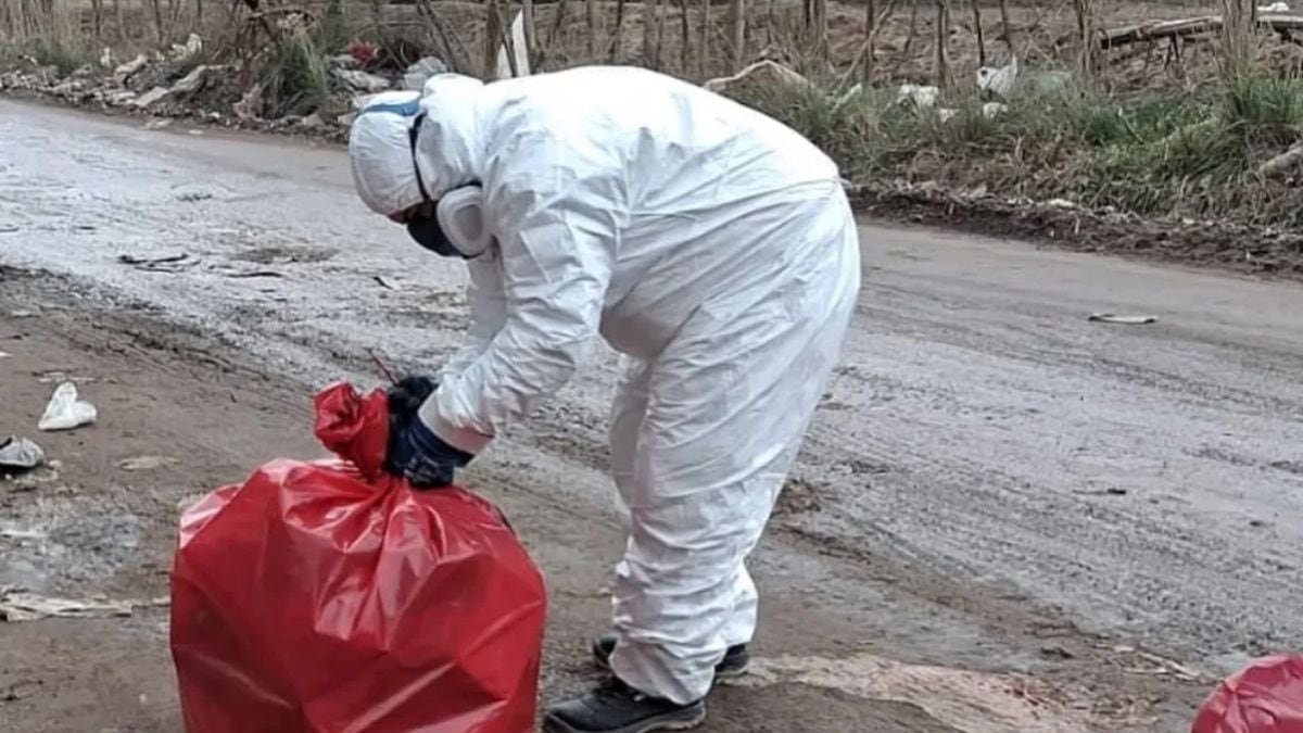 Valentina Sur Rural: cien kilos de carne podrida y la sospecha de una faena clandestina