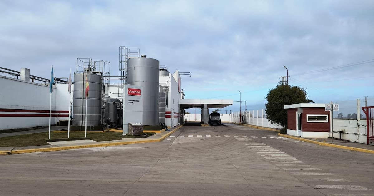 La láctea Verónica traspasa dos plantas y 225 puestos de trabajo para tentar una salida al concurso preventivo