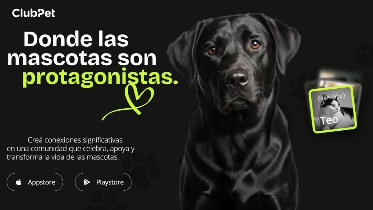 Una app para no perder de vista al perro del vecino: lanzan ClubPet en Neuquén con adopción y básquet