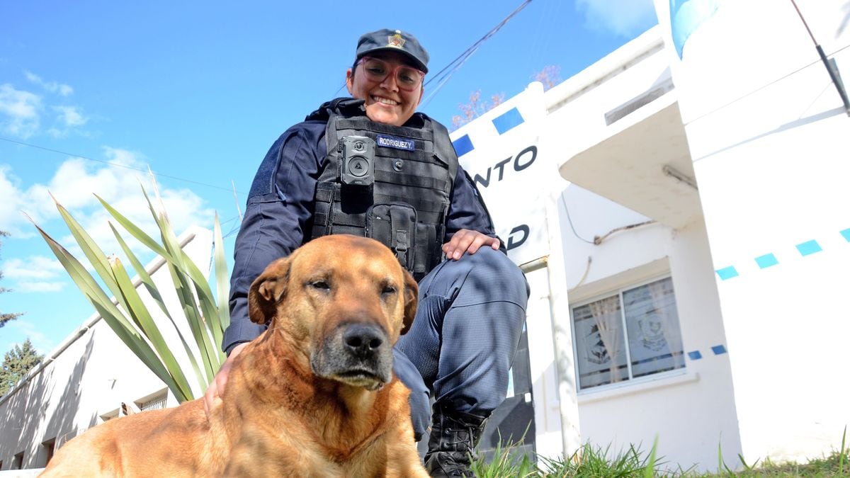 Puchero, el perro que adoptó a la Policía de Neuquén y hace la patrulla en chaleco propio