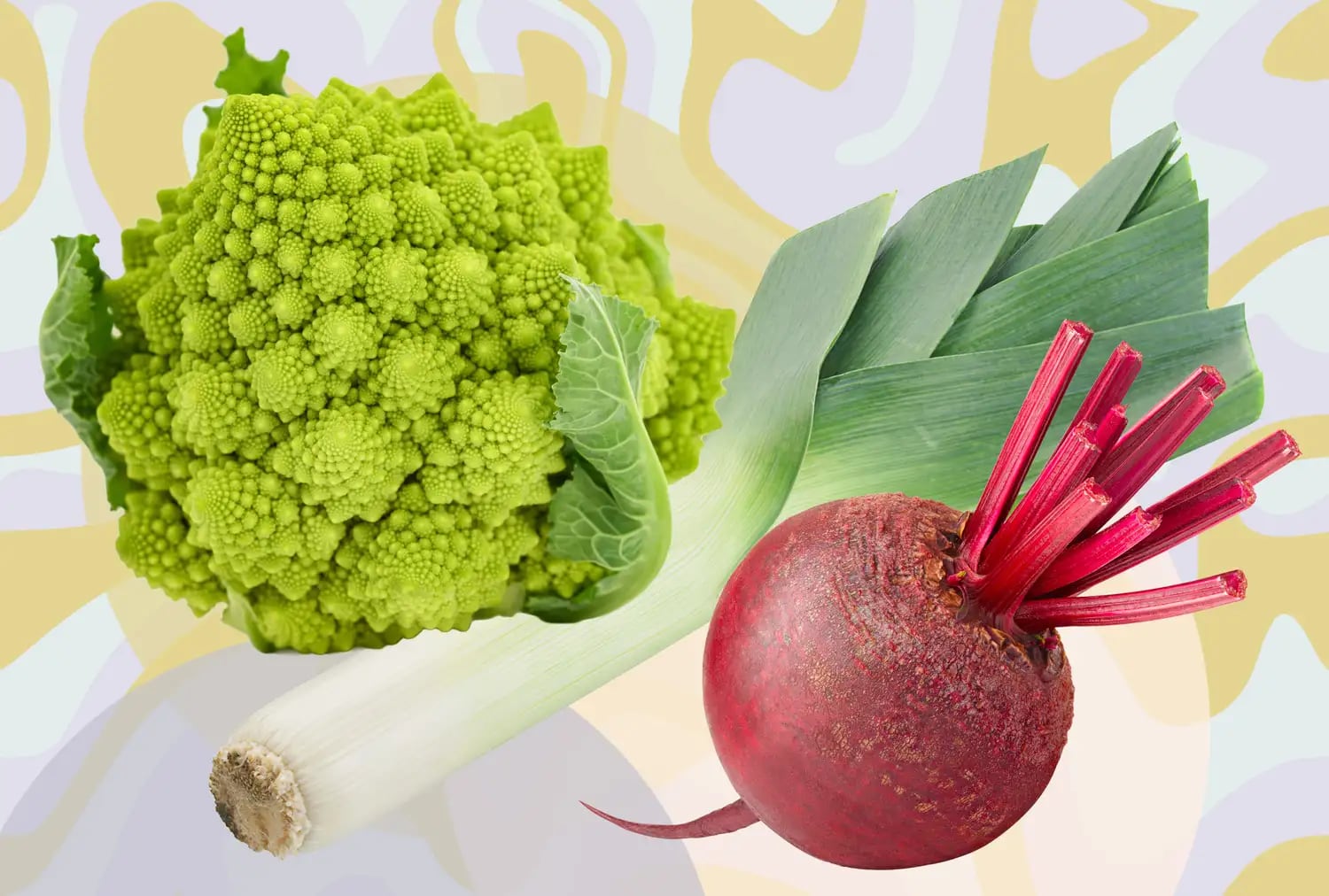 Antiinflamatorio de la góndola al plato: por qué la dieta puede ser la mejor aliada contra el cansancio crónico