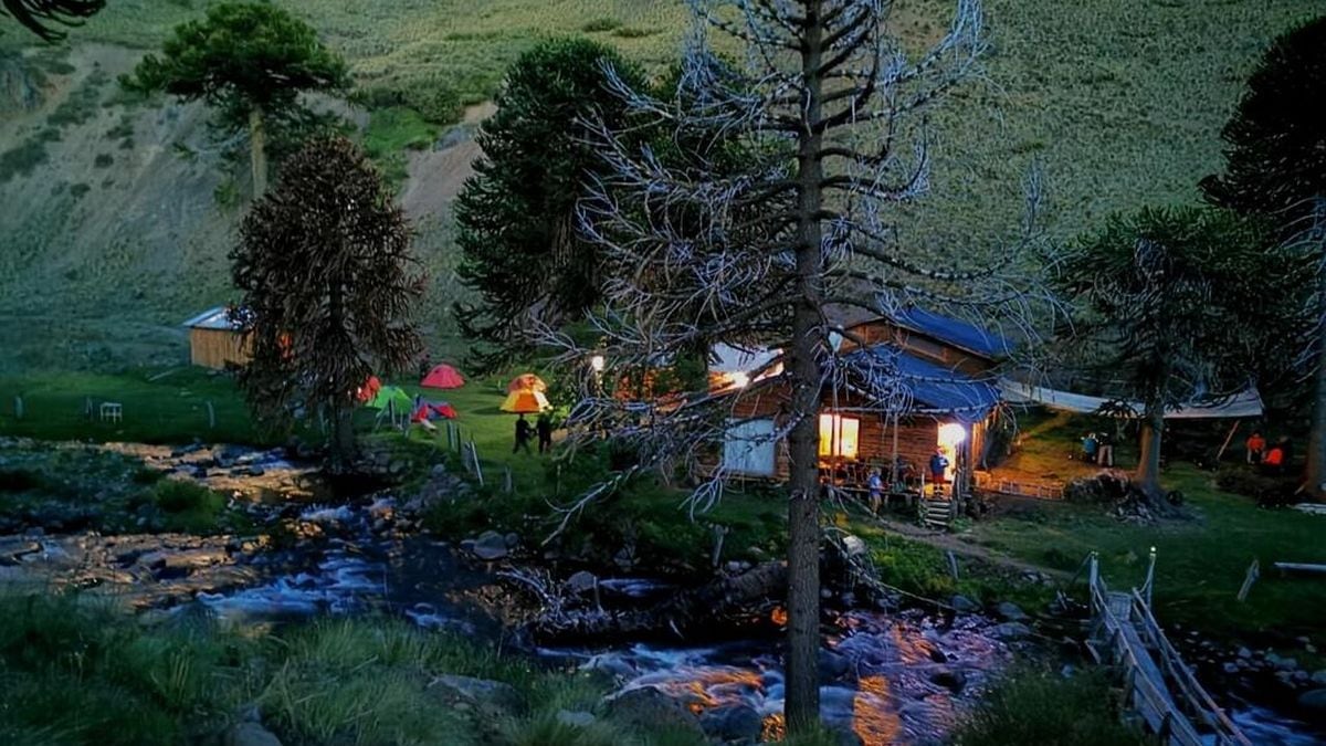 Lonquimay, al sur del sur: un geoparque de la Patagonia chilena busca manos voluntarias para 2026