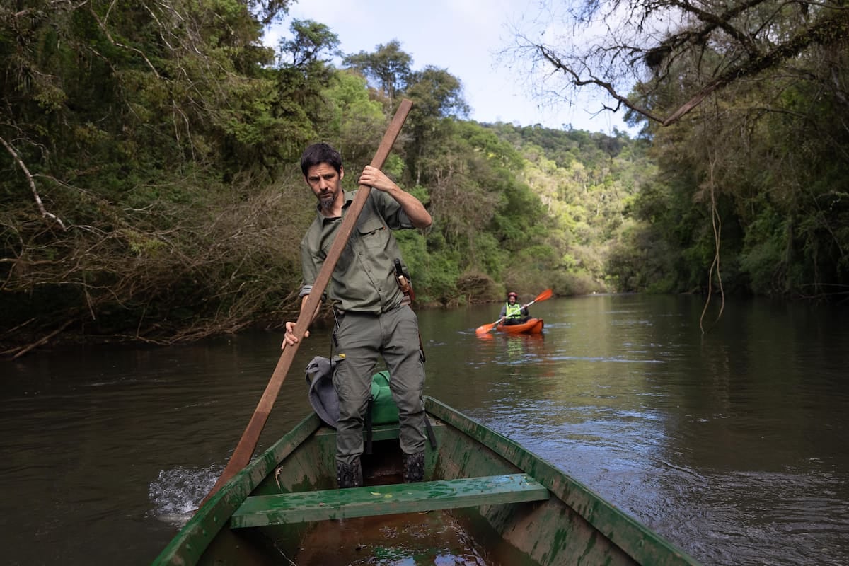 Una reserva a orillas del arroyo Paraíso combina cabañas, kayak ySenderismo en la selva paranaense misionera
