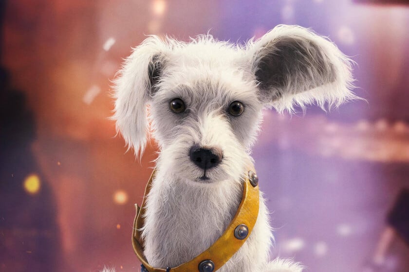 Supergirl, Krypto y la licencia de matar al perro