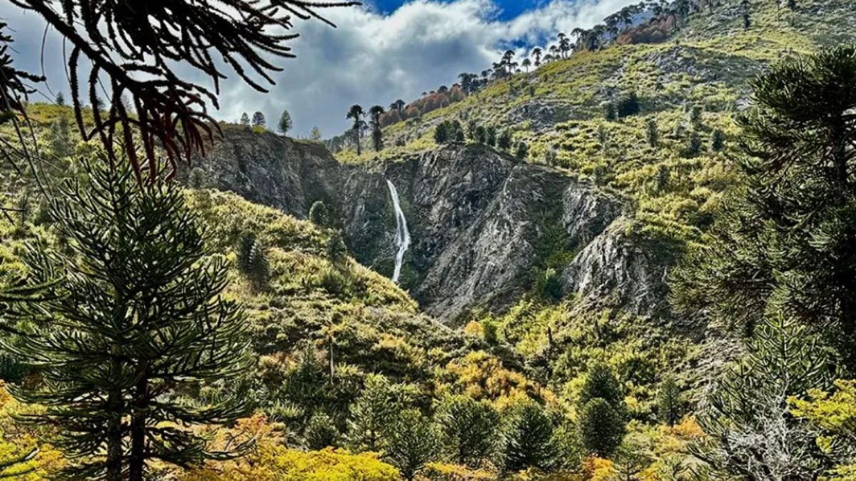 Pulmarí sale a cruzar la oferta de lotes: "No entreguen un peso, muchachos"