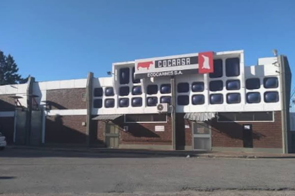 Crisis en el frigorífico de San Fernando: el sindicato alerta por la obra social y los salarios