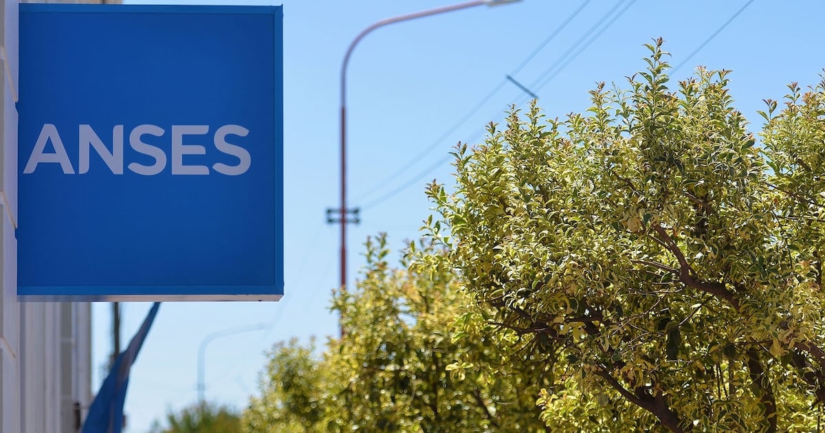 Cuándo y cuánto cobrarán en octubre los titulares de ANSES con documento terminado en 2