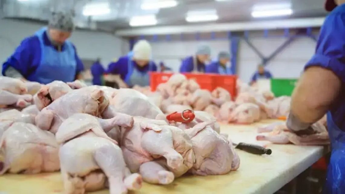 El pollo desplazó a la carne vacuna del primer lugar en la mesa de los argentinos