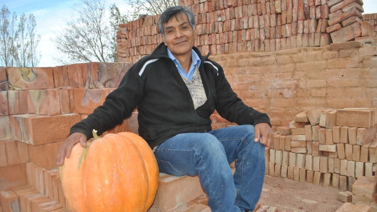 Vuelve Ciudad Zapallo a Mariano Moreno: el municipio abre la inscripción y regala semillas para armar la huerta en casa