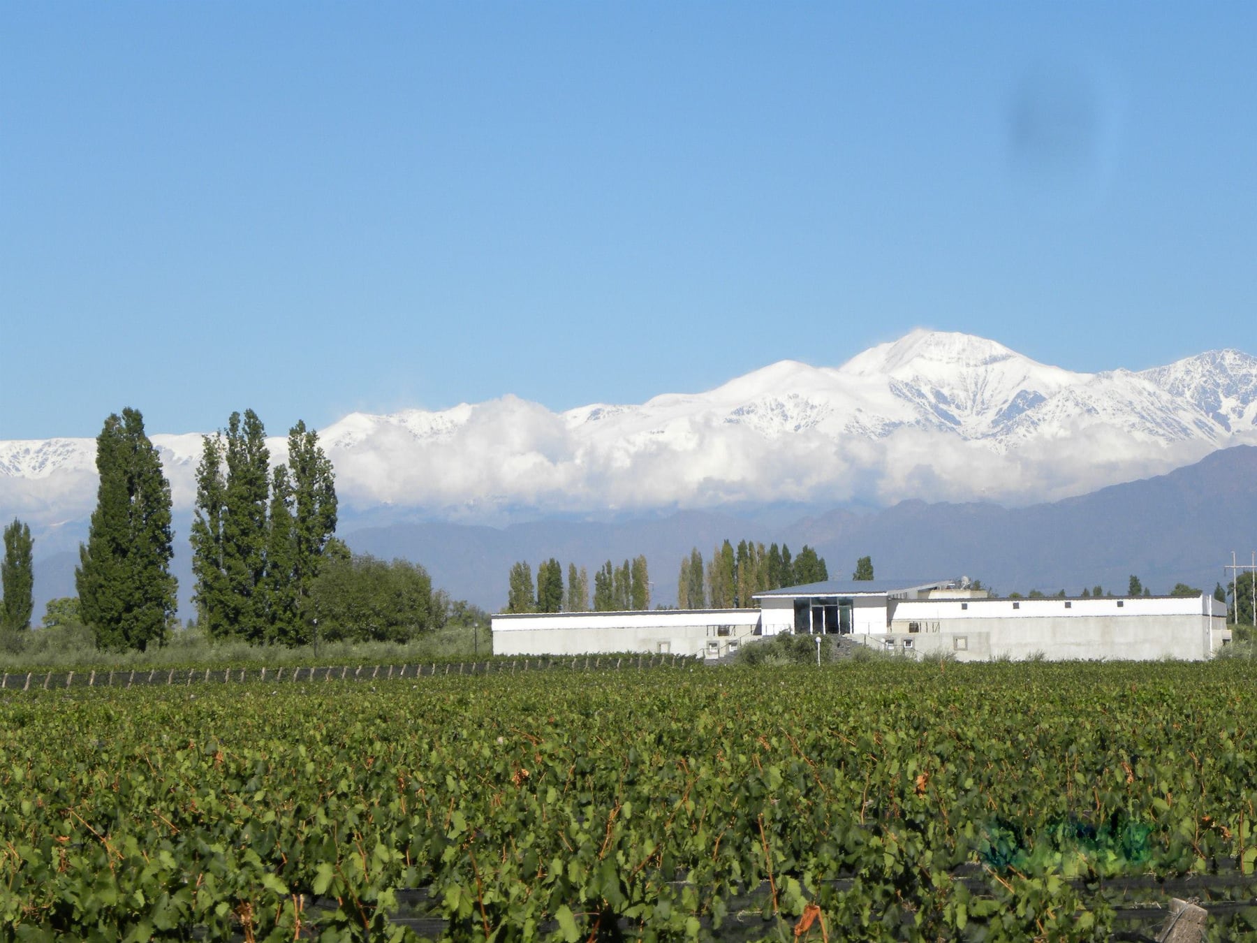 Chacras de Coria: el pueblo mendocino que dejó de ser una parada para convertirse en destino