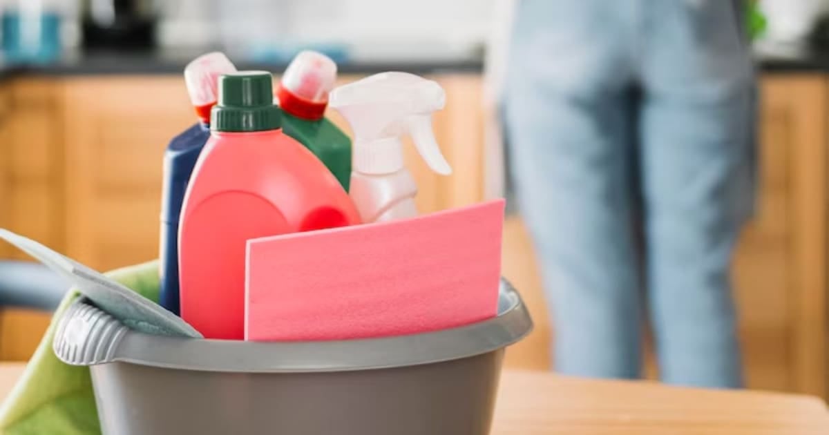 ARCA lanzó un recibo de sueldo automático para el personal de casas particulares: cómo funciona paso a paso