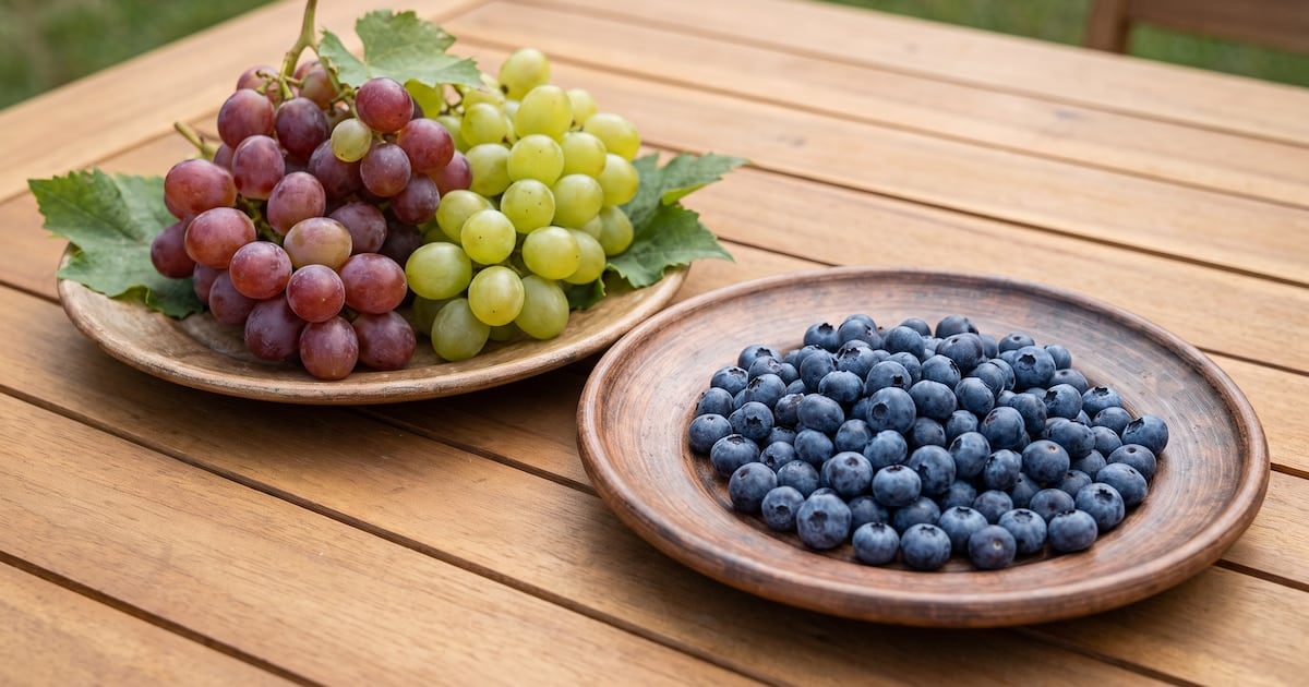 Arándanos, uvas y el pico de glucosa: por qué la fruta que elegís en el desayuno cambia el día