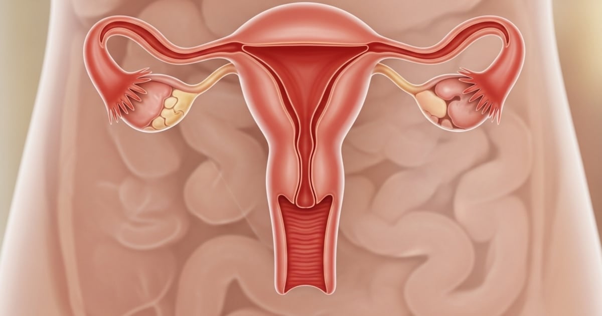 Un ovario que no se apaga: el hallazgo que cambia lo que creíamos saber sobre la menopausia