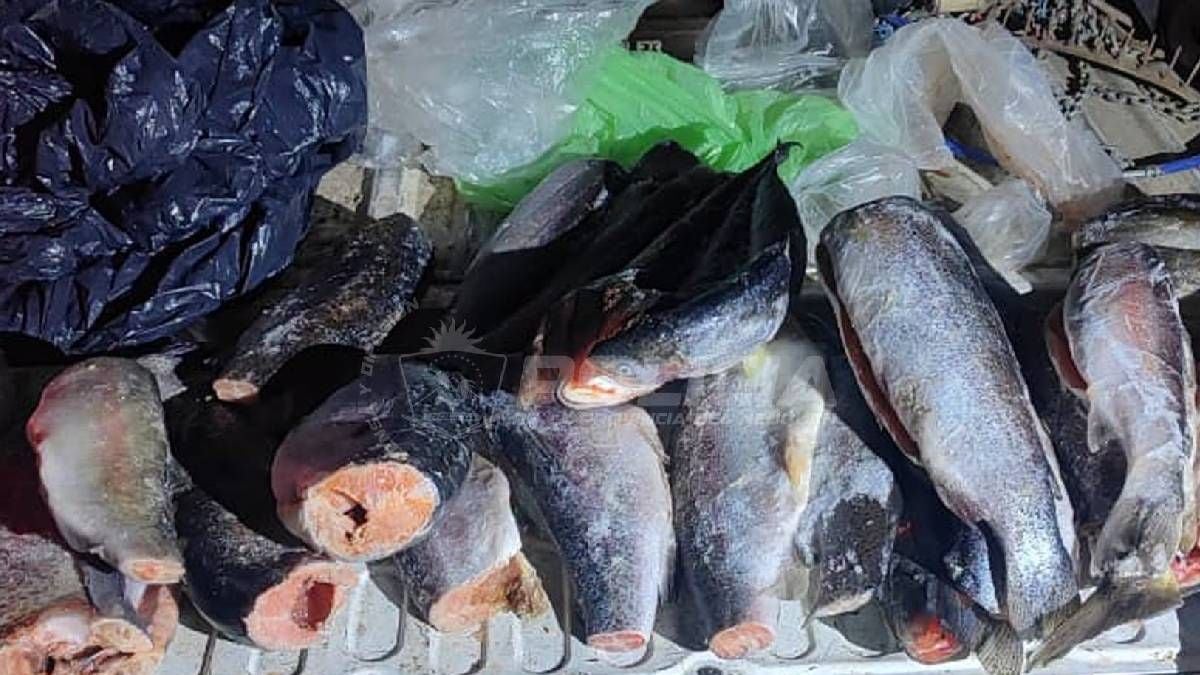 Pescadores que se les apuran las vacaciones: la advertencia de la ruta 237 con la temporada a punto de arrancar