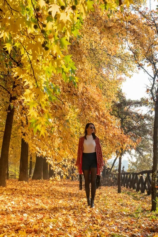 El otoño europeo abre una nueva temporada de visitas urbanas